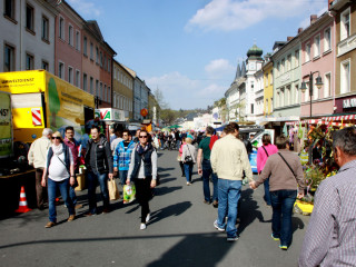 Foto 71066 im Album
