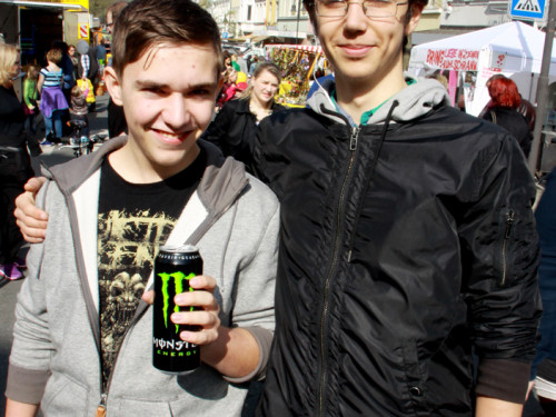 Hofer Frühling 2014 und Meastro Handwerkermarkt – Foto 116