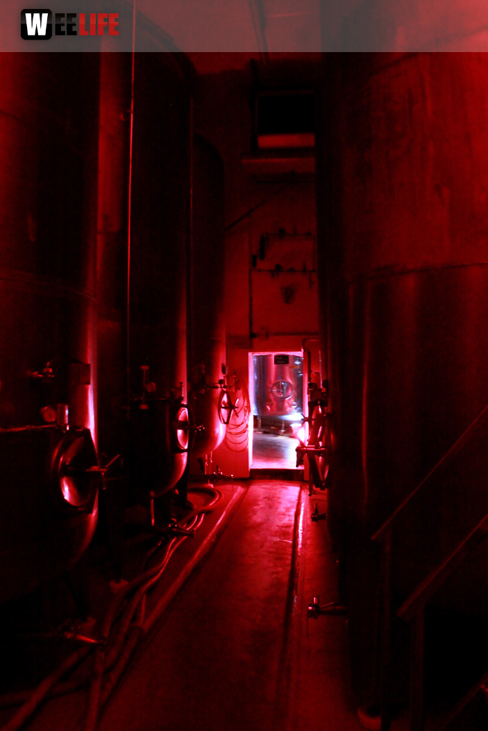 Tag der offenen Brauerei Meinel 