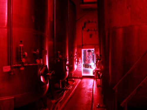 Tag der offenen Brauerei Meinel  – Foto 22