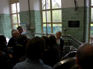 Foto 72082 im Album