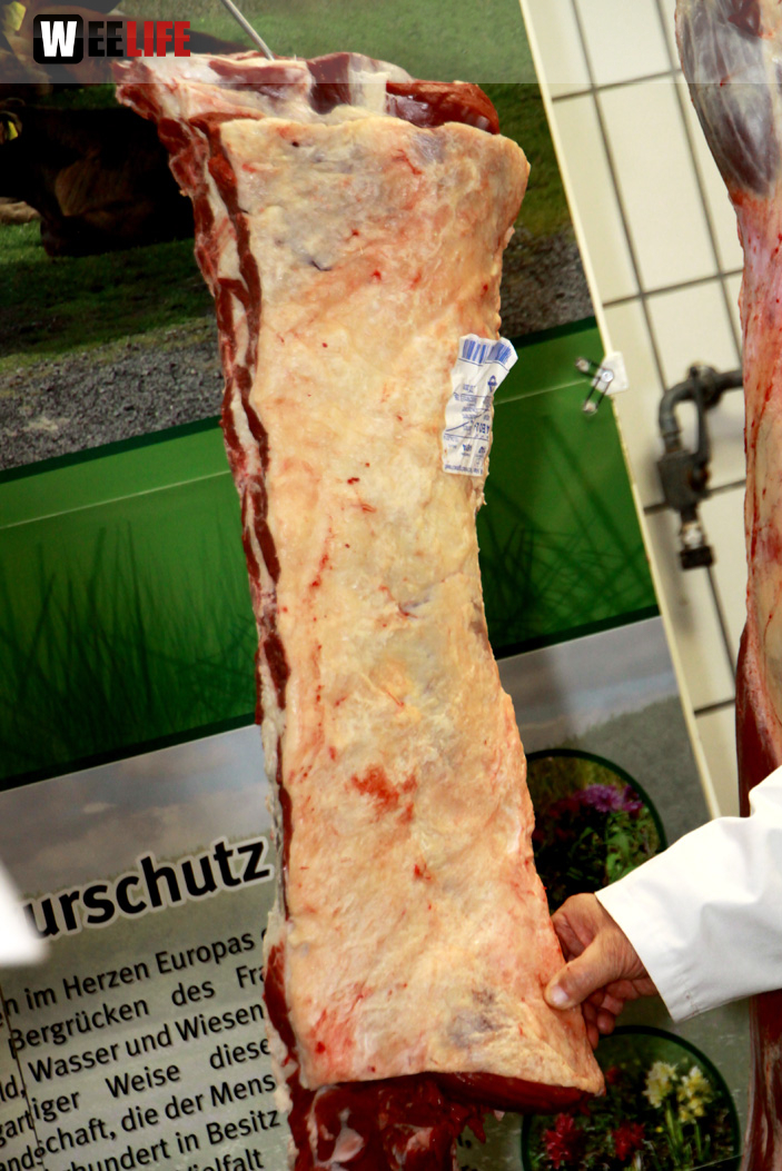 Tag der offenen Metzgerei MAX