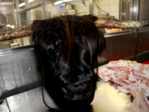 Tag der offenen Metzgerei MAX – Foto 25