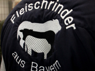Foto 72266 im Album