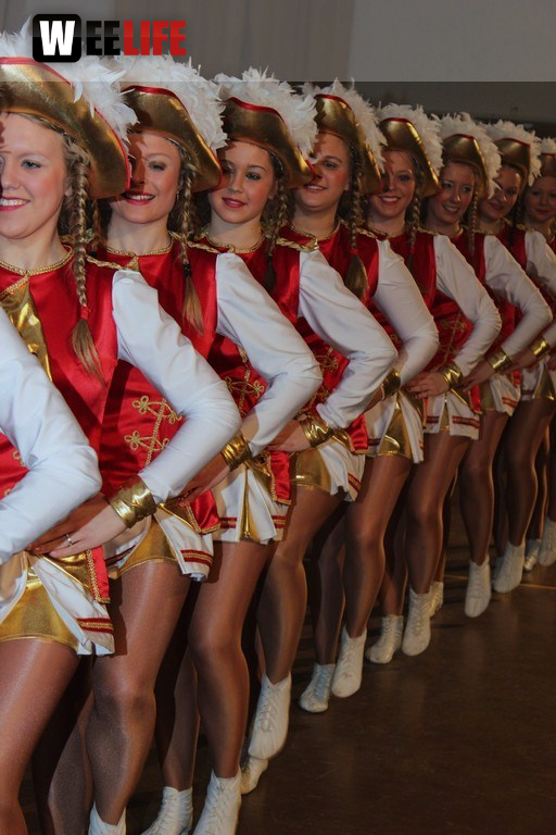 Rosenmontagsball in Dörflas
