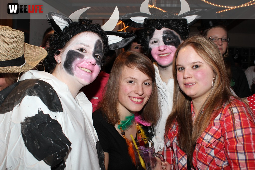 Rosenmontagsball in Dörflas