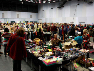 Foto 72919 im Album