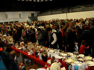 Foto 72929 im Album