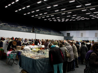 Foto 72936 im Album