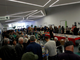 Foto 72949 im Album