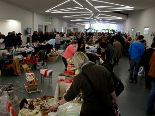 Foto 72955 im Album