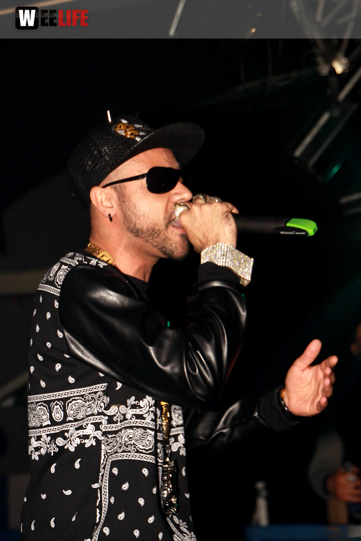 Live Baby Brown Support by 28er Bezirk  Black