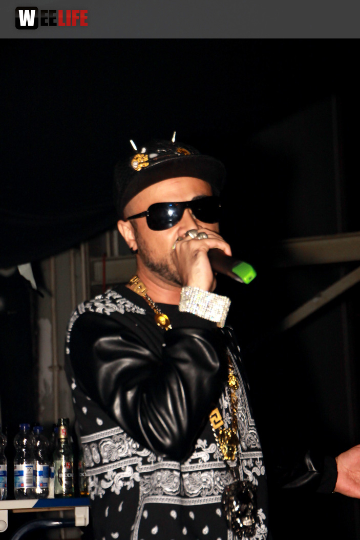 Live Baby Brown Support by 28er Bezirk  Black