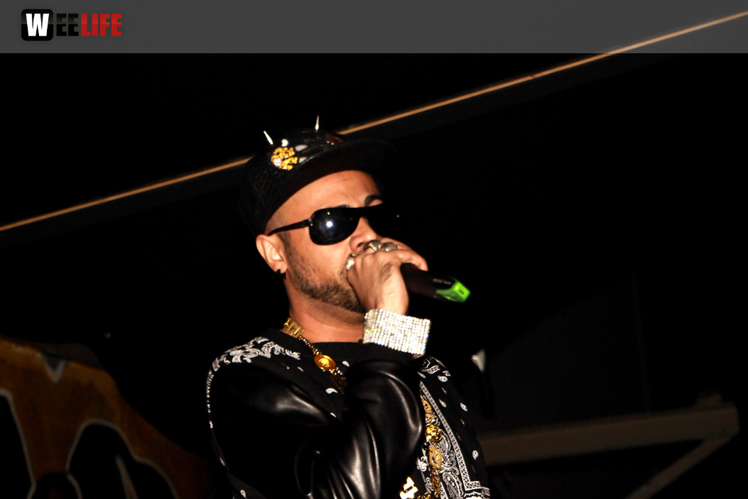 Live Baby Brown Support by 28er Bezirk  Black