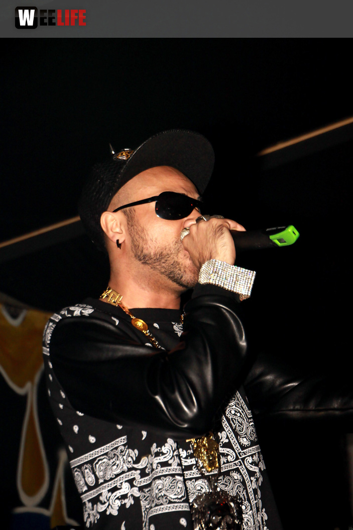 Live Baby Brown Support by 28er Bezirk  Black