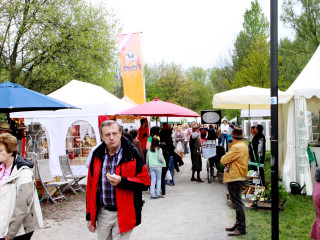 Vorschau des vorherigen Fotos