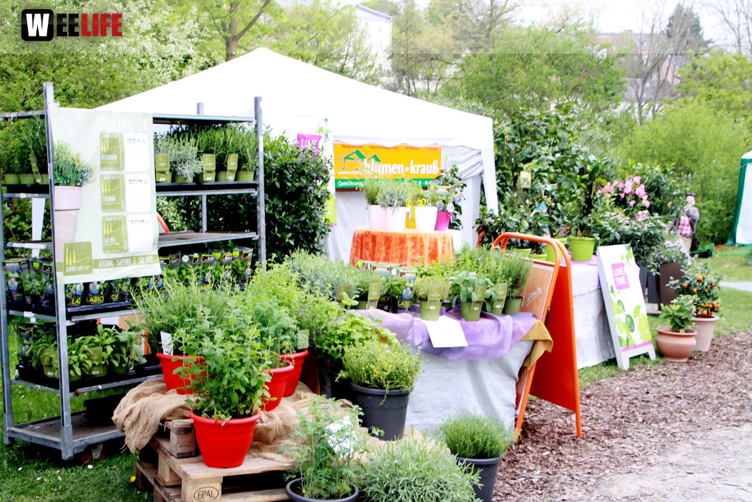 Messe LebensArt Garten Wohnen und Lifesytle