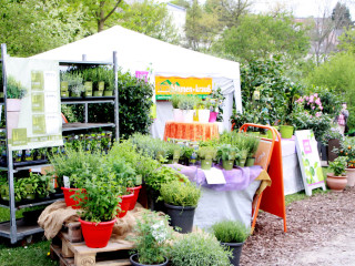 Foto 73619 im Album