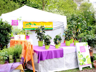 Foto 73620 im Album
