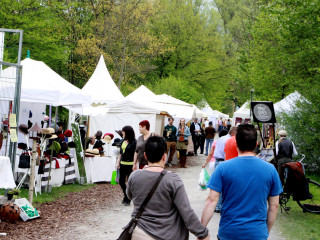 Foto 73625 im Album