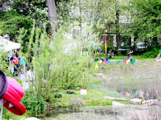 Foto 73627 im Album