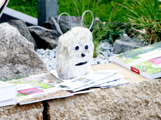 Foto 73630 im Album