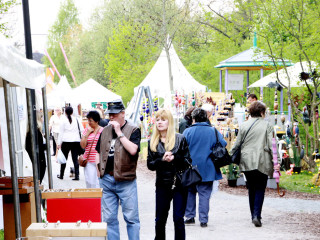 Foto 73638 im Album