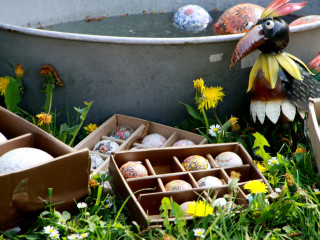 Foto 74003 im Album