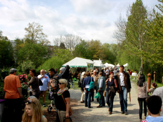 Foto 74023 im Album