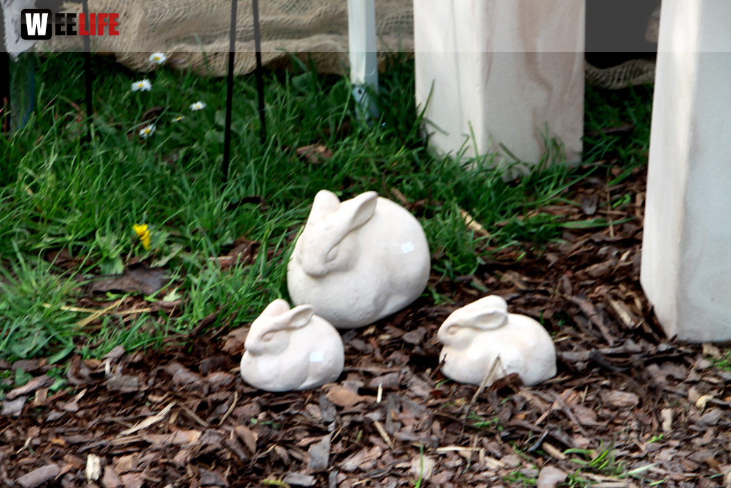 Messe LebensArt Garten Wohnen und Lifesytle