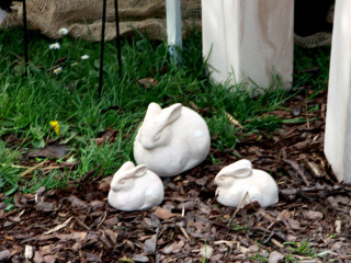 Foto 74053 im Album