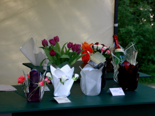 Foto 74059 im Album