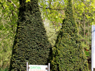 Foto 74067 im Album