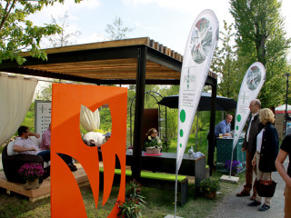 Foto 74077 im Album