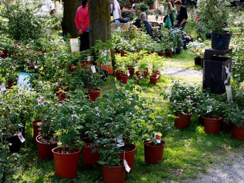 Messe LebensArt Garten Wohnen und Lifesytle – Foto 98