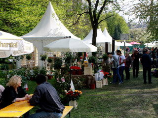 Foto 74091 im Album