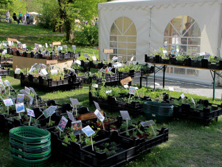 Foto 74098 im Album
