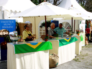Foto 74101 im Album
