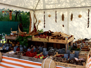 Foto 74105 im Album