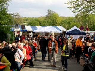 Foto 74746 im Album