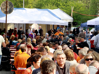 Foto 74749 im Album