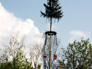 Foto 74798 im Album