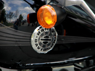 Foto 74909 im Album