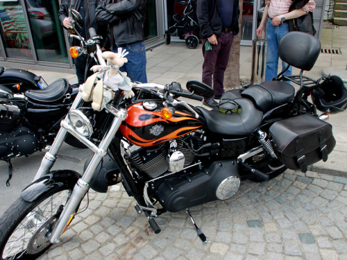 Harley Davidson Motorrad Treffen – Foto 23