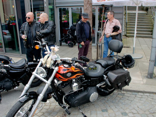 Foto 74919 im Album