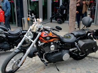 Foto 74950 im Album