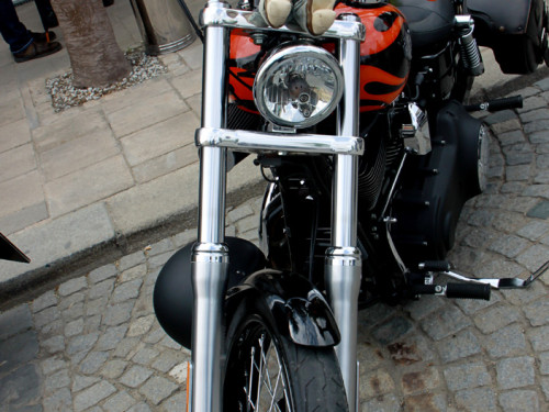 Harley Davidson Motorrad Treffen – Foto 60