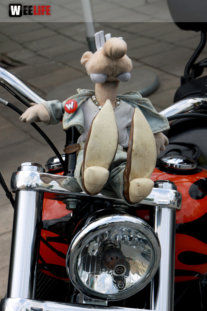 Harley Davidson Motorrad Treffen