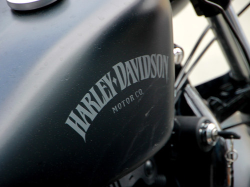 Harley Davidson Motorrad Treffen – Foto 69