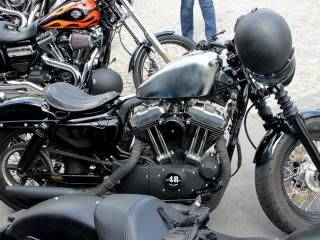 Foto 74971 im Album